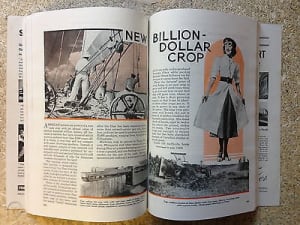 propaganda besar anti ganja di amerika